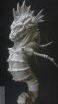 タツノオトシゴ sea-horse